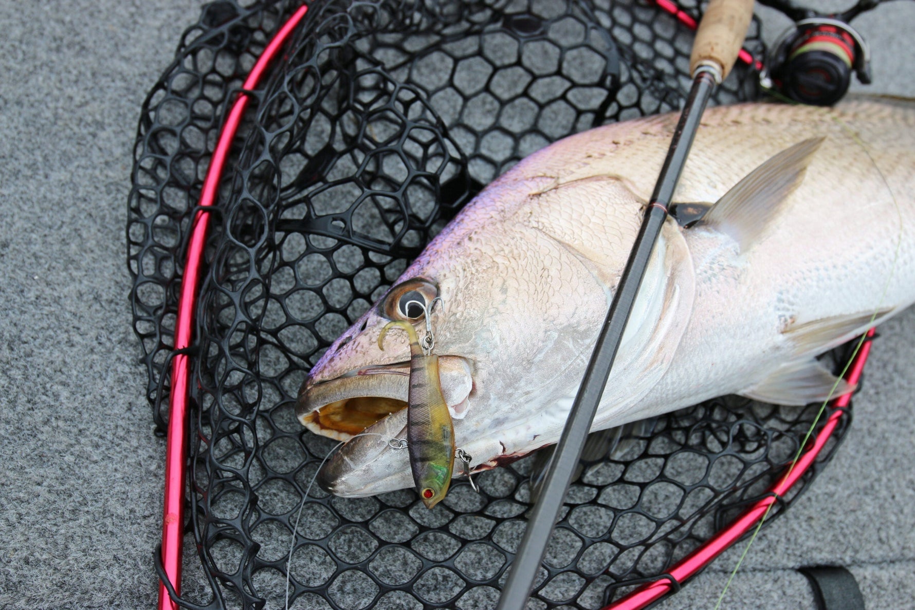 Australian Fishing Tackle Guide 2025: Choosing the Right Hooks, Lines & Lures
